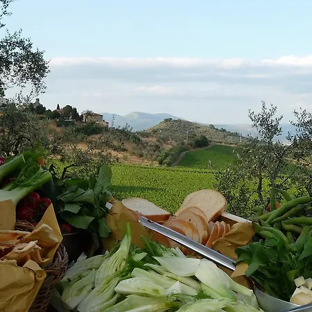 Farm stay Agriturismo Sottotono *