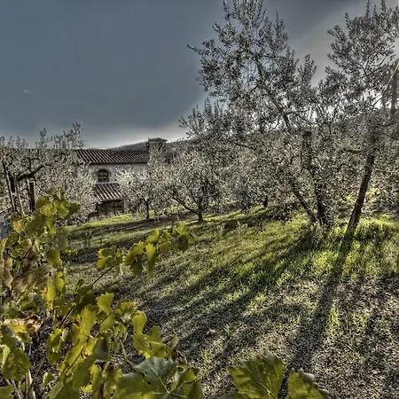 Farm stay Agriturismo Sottotono *