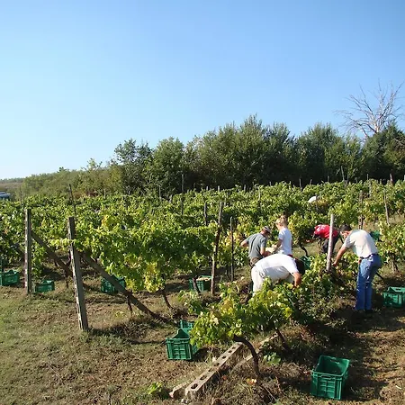 Agriturismo Sottotono