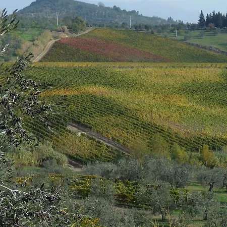 Farm stay Agriturismo Sottotono
