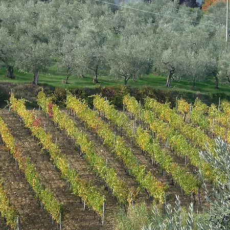 Farm stay Agriturismo Sottotono Carmignano